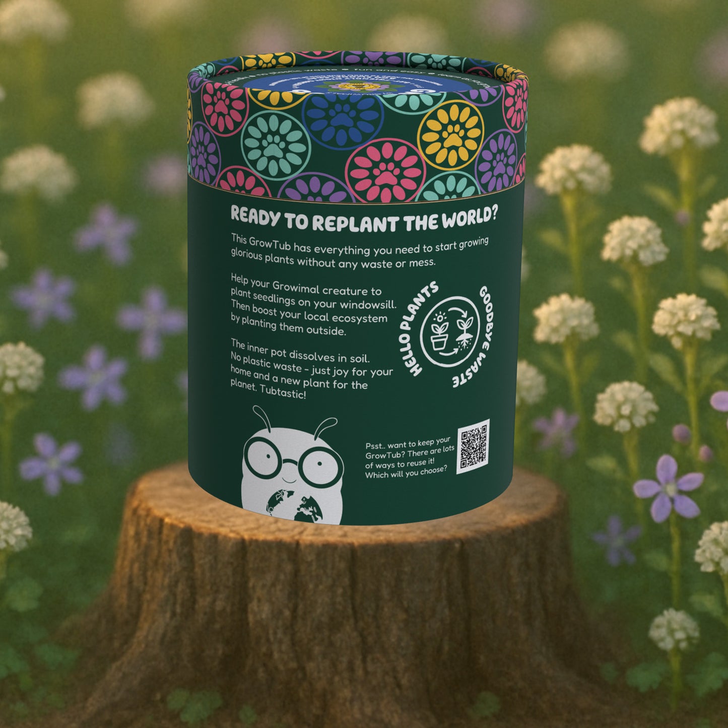 Night Scented Stock and Buckwheat GrowTub