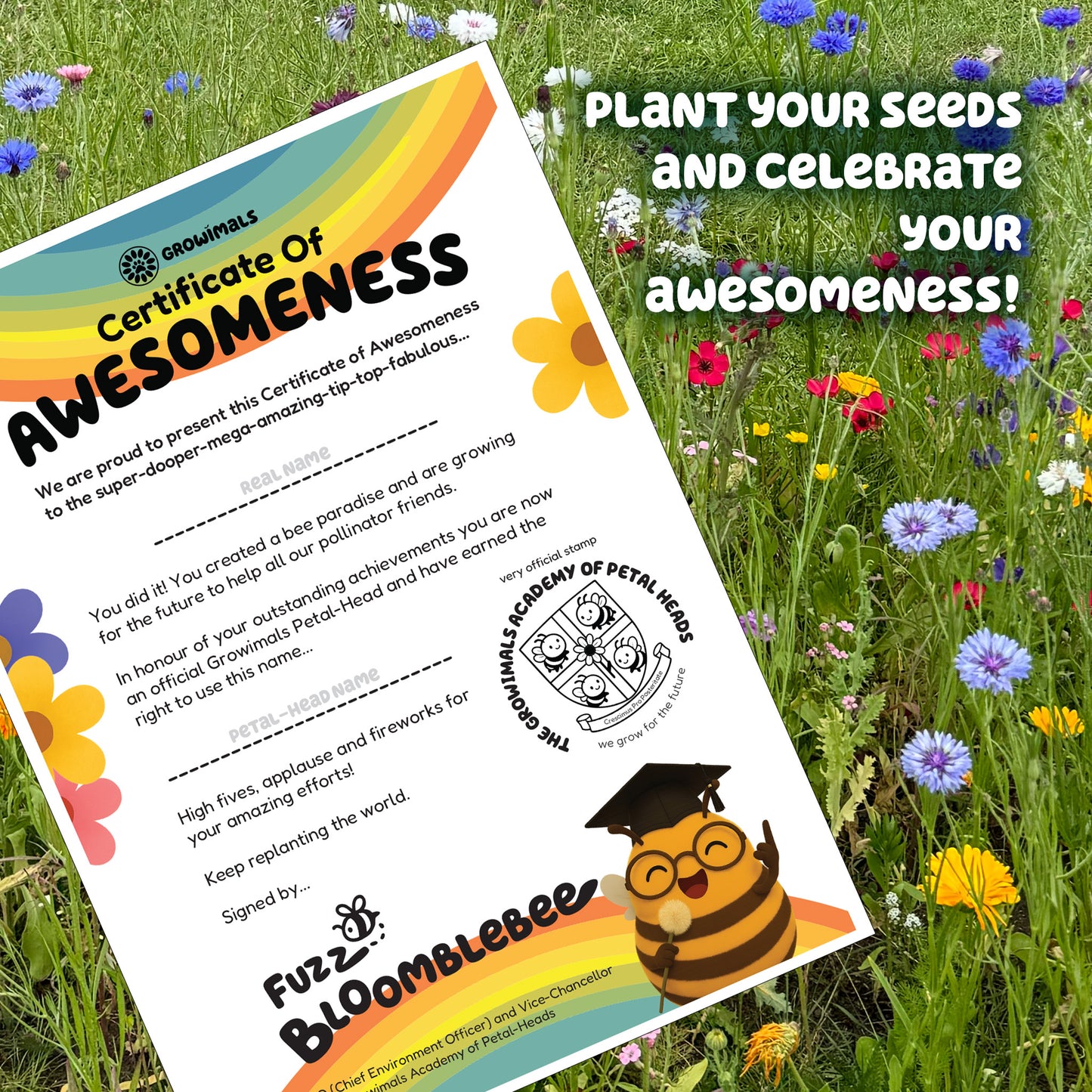 Bee Booster Pack - Wildflower Seed Mix for Kids