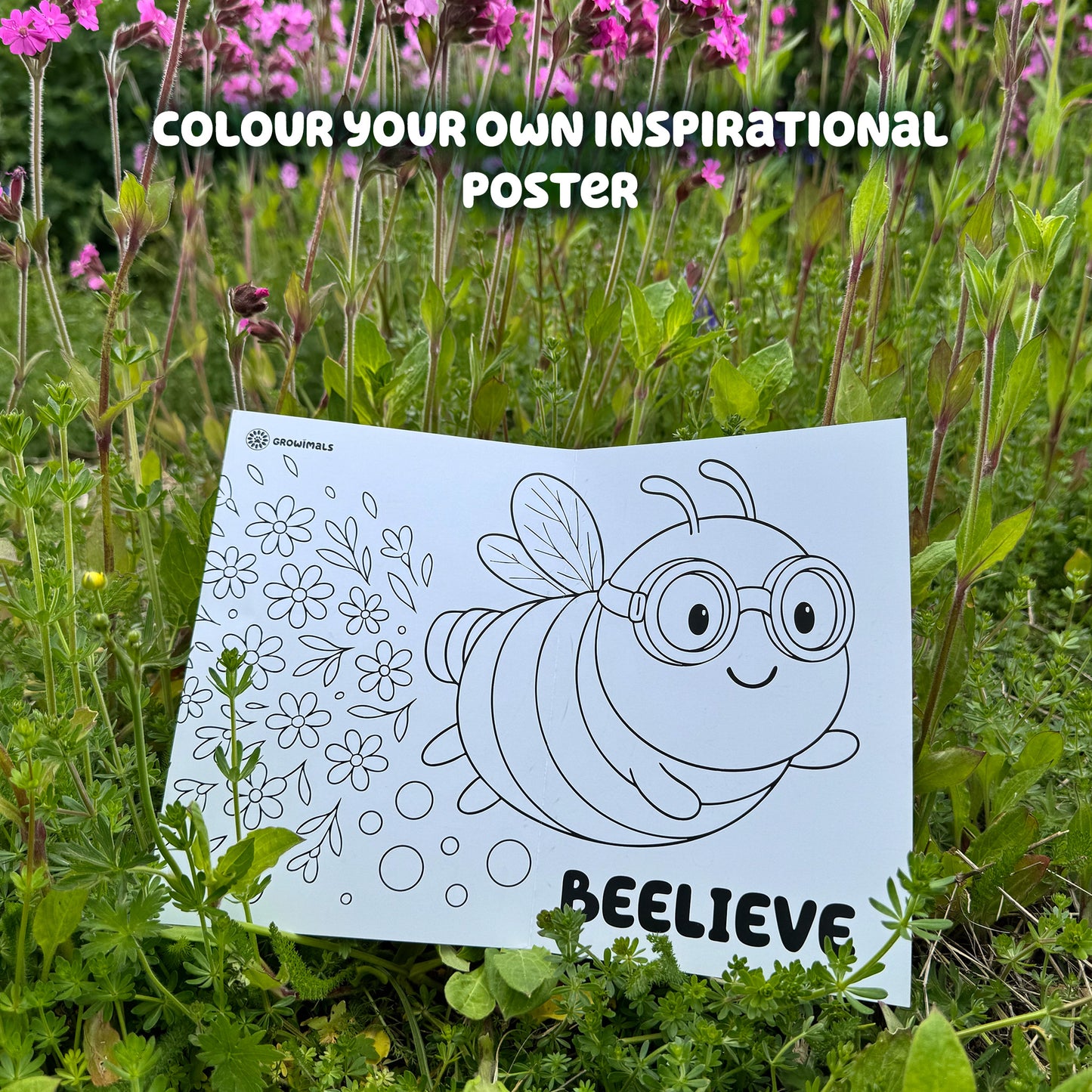 Bee Booster Pack - Wildflower Seed Mix for Kids