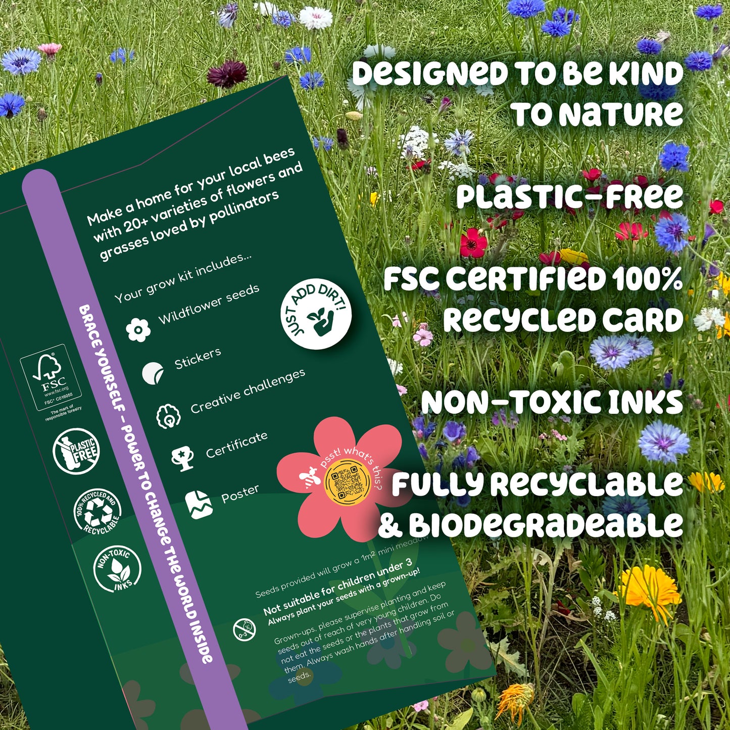 Bee Booster Pack - Wildflower Seed Mix for Kids