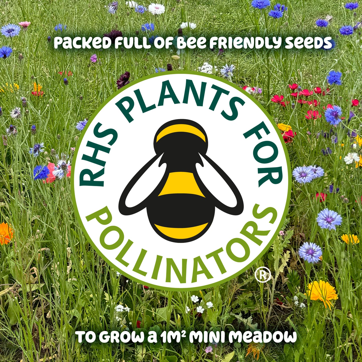 Bee Booster Pack - Wildflower Seed Mix for Kids