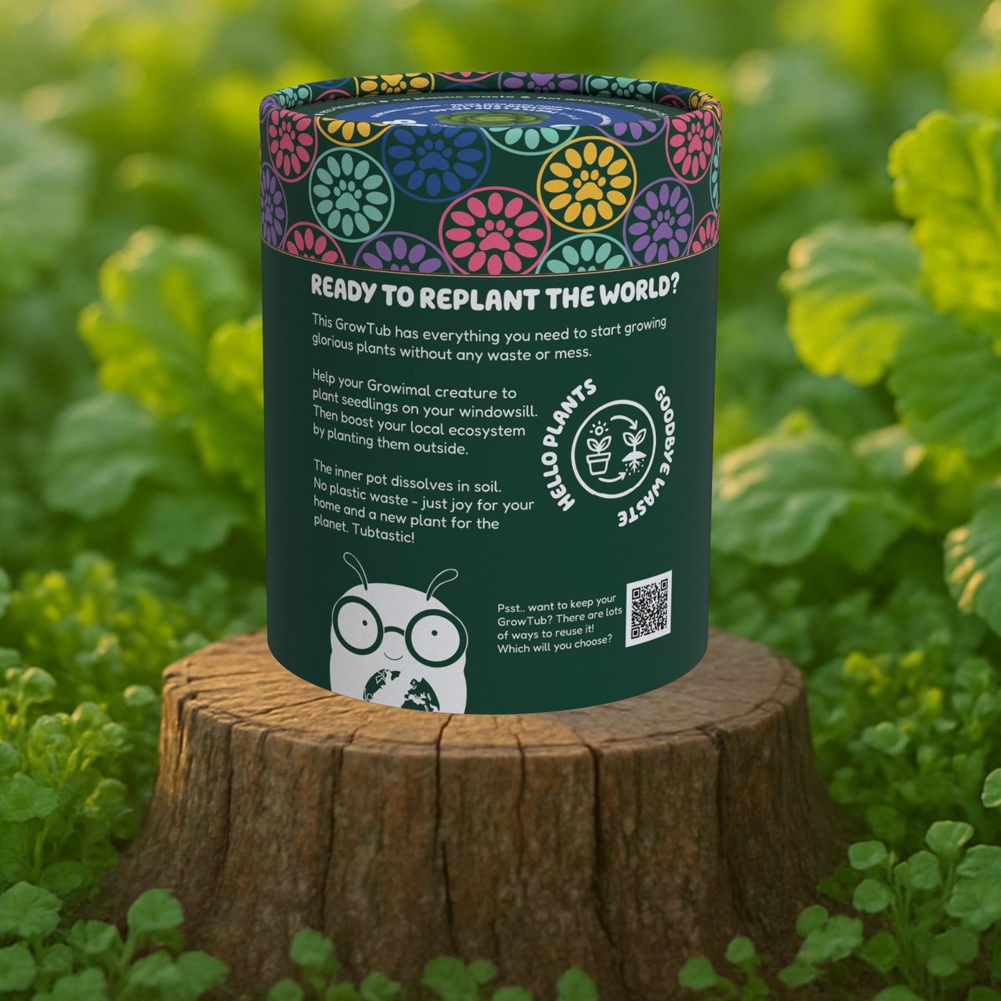 Lettuce and Cress GrowTub