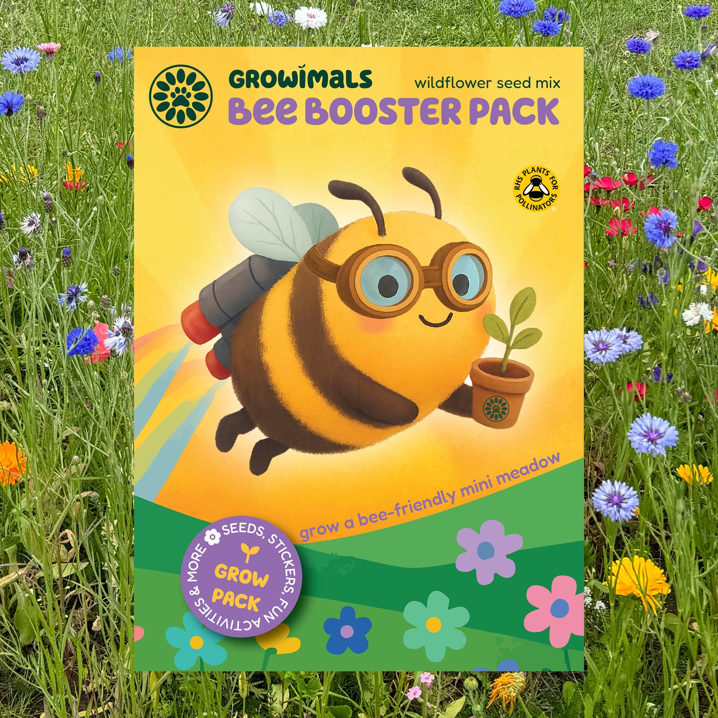 Bee Booster Pack - Wildflower Seed Mix for Kids