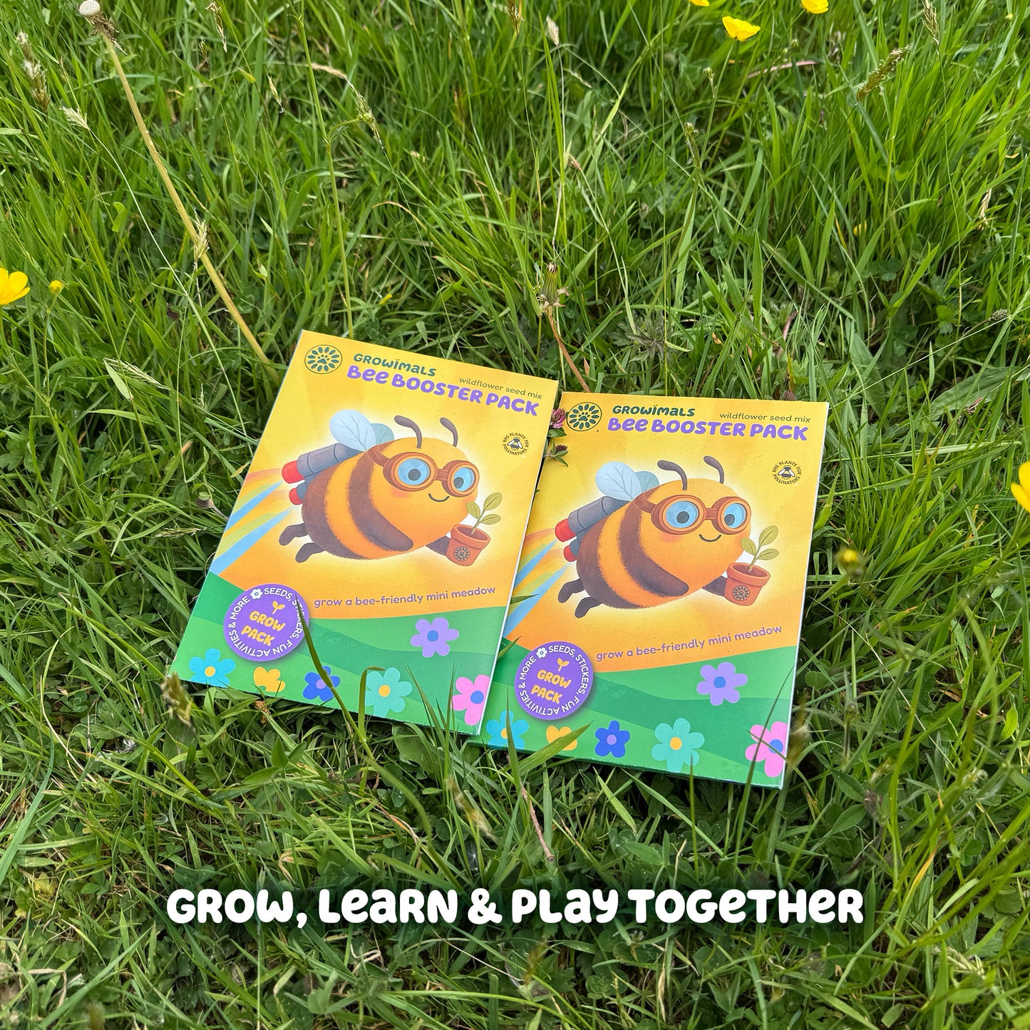 Bee Booster Pack - Wildflower Seed Mix for Kids