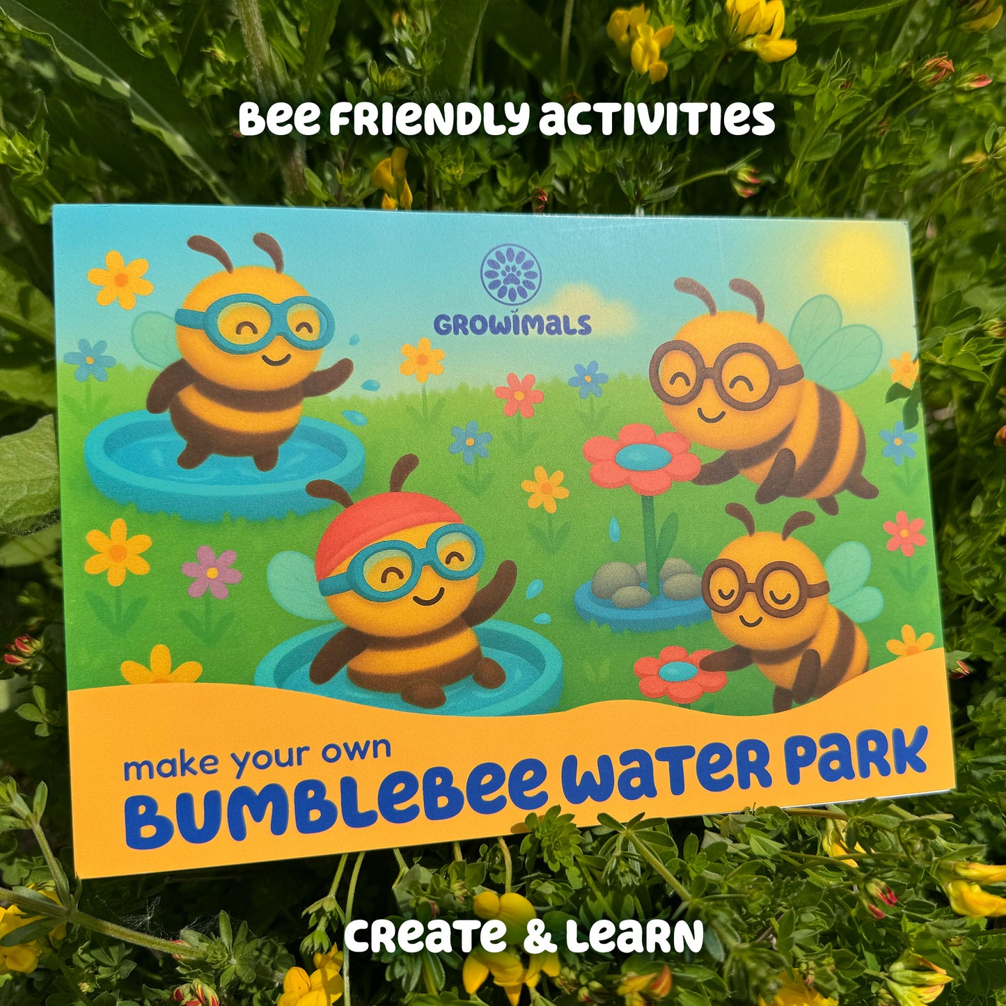 Bee Booster Pack - Wildflower Seed Mix for Kids