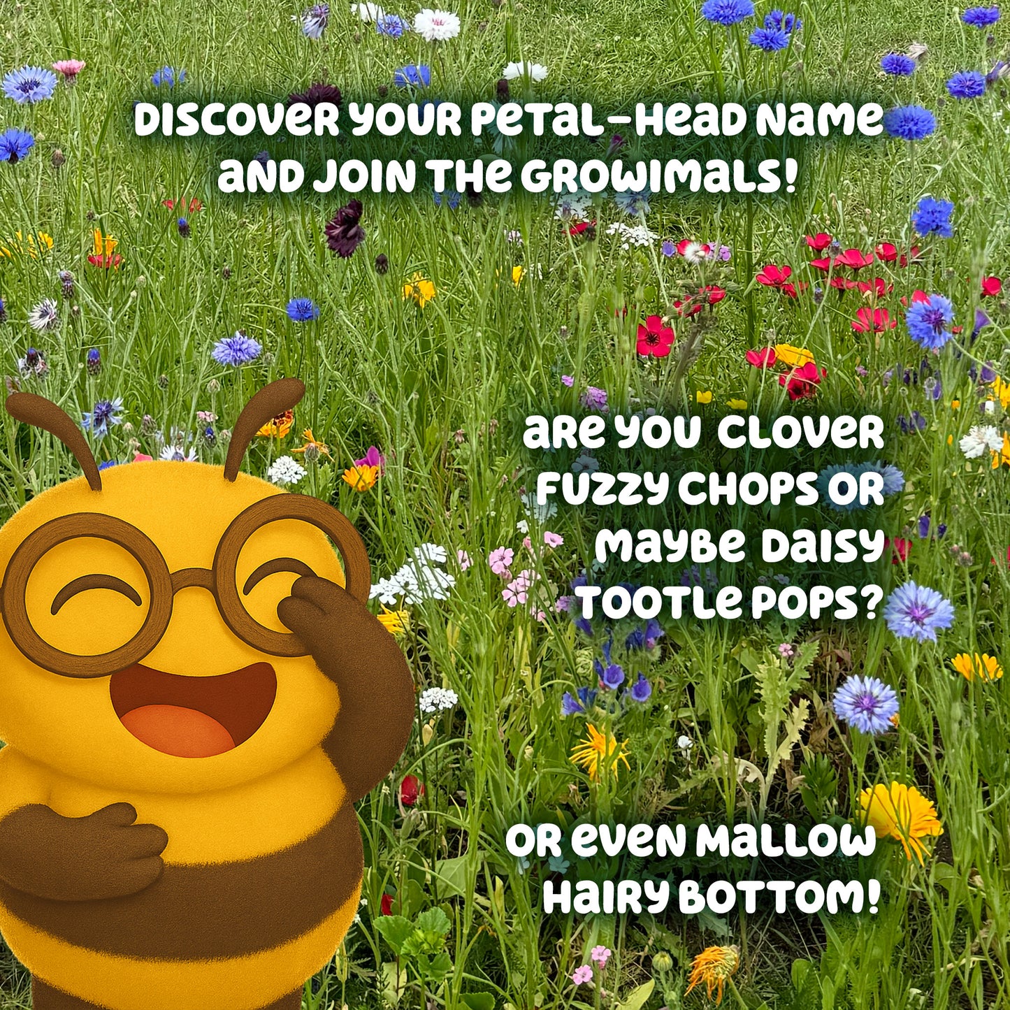 Bee Booster Pack - Wildflower Seed Mix for Kids