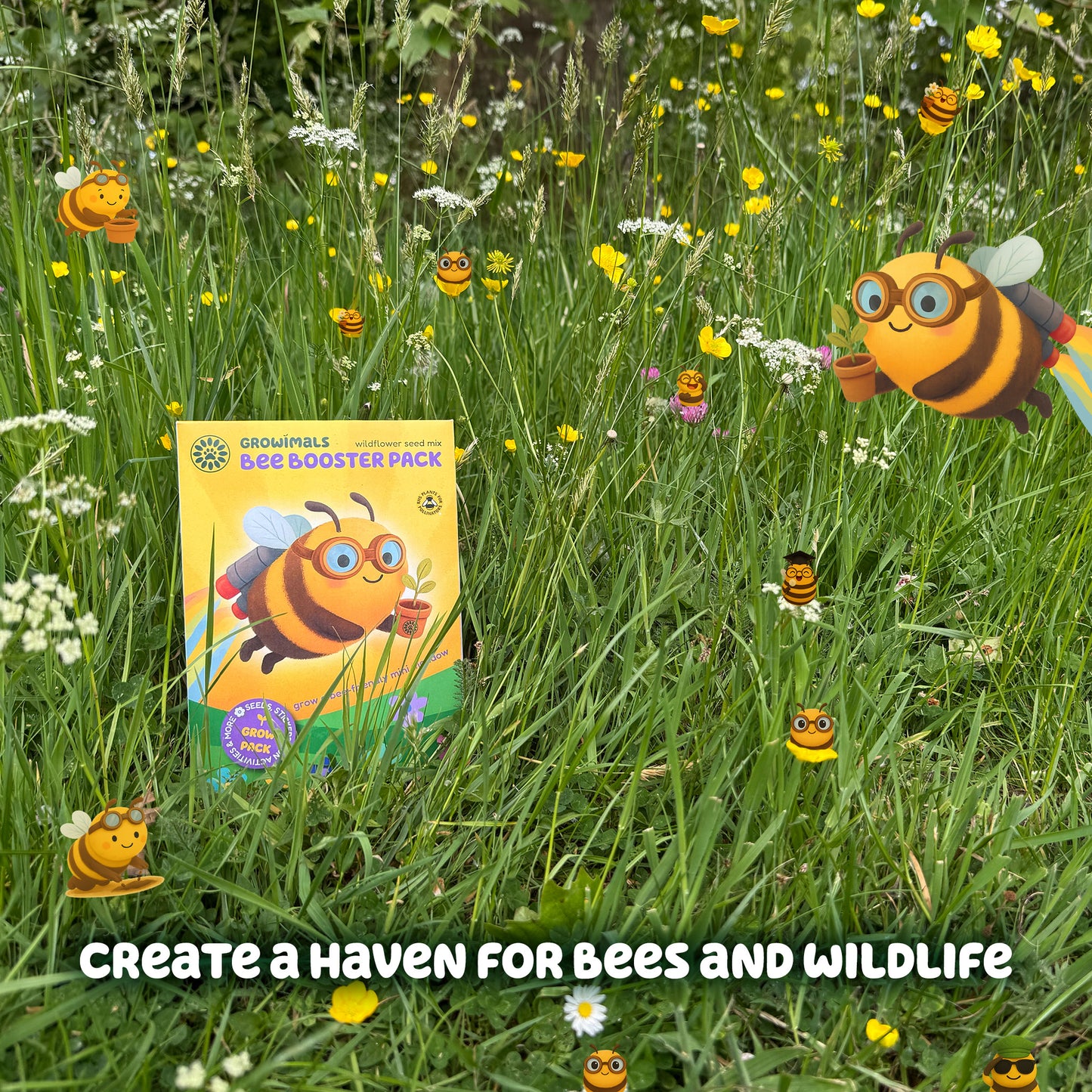 Bee Booster Pack - Wildflower Seed Mix for Kids
