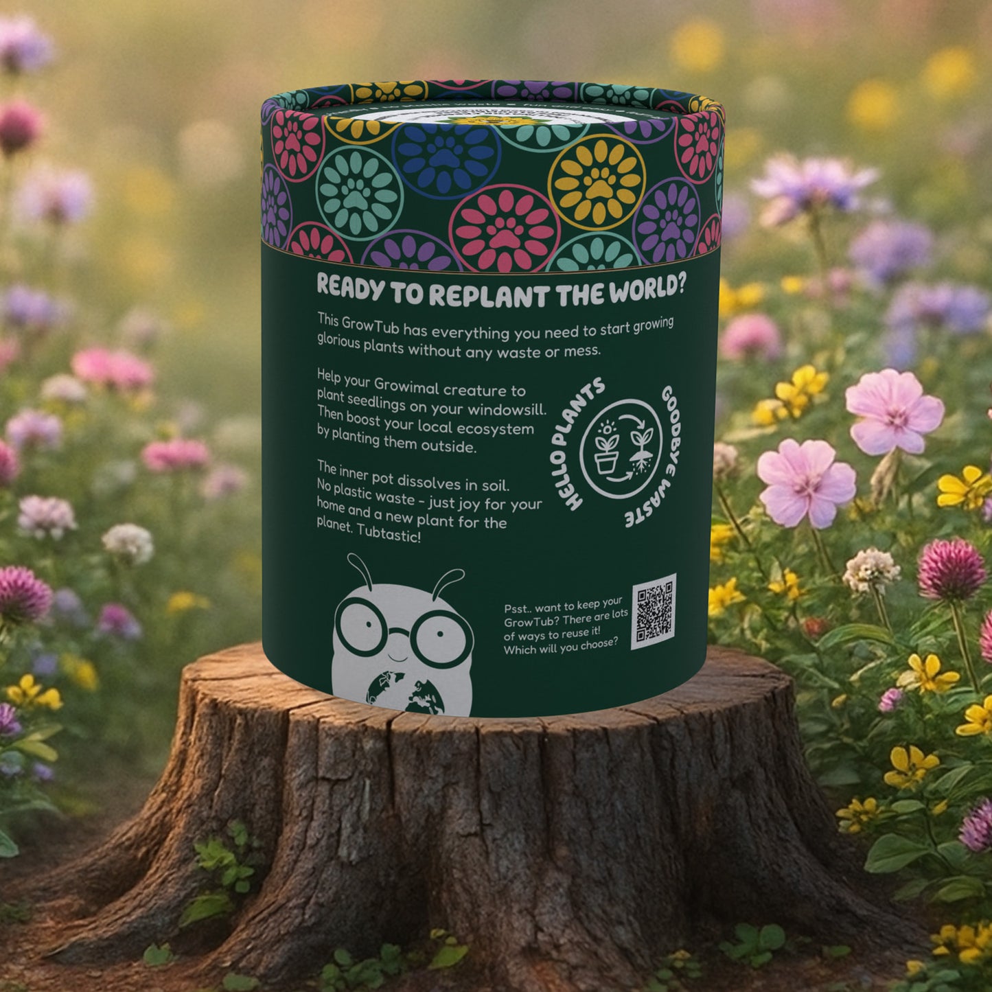 Sunflower and Wildflower GrowTub (Colour & Grow Edition)