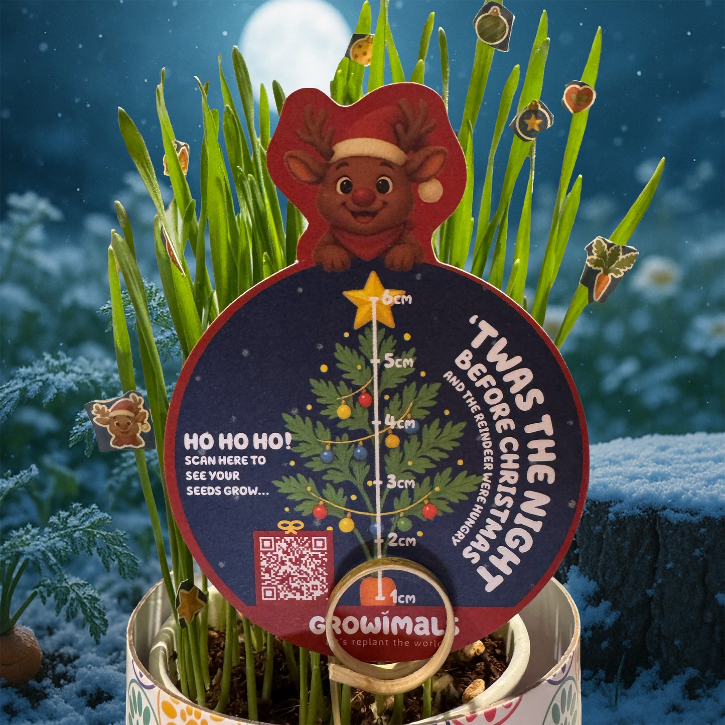 Grow a Reindeer Snack - Christmas GrowTub