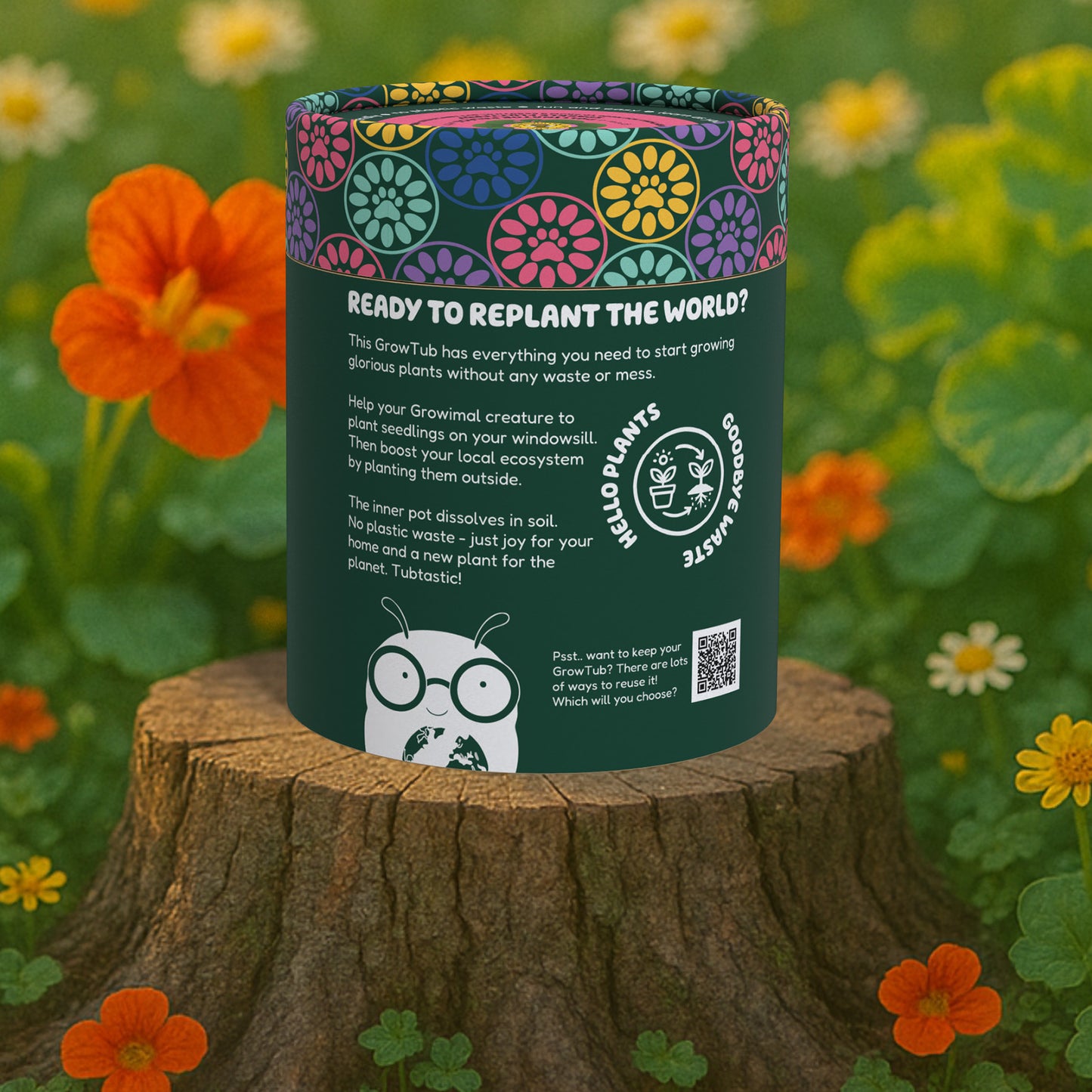 Nasturtium and Wildflowers GrowTub