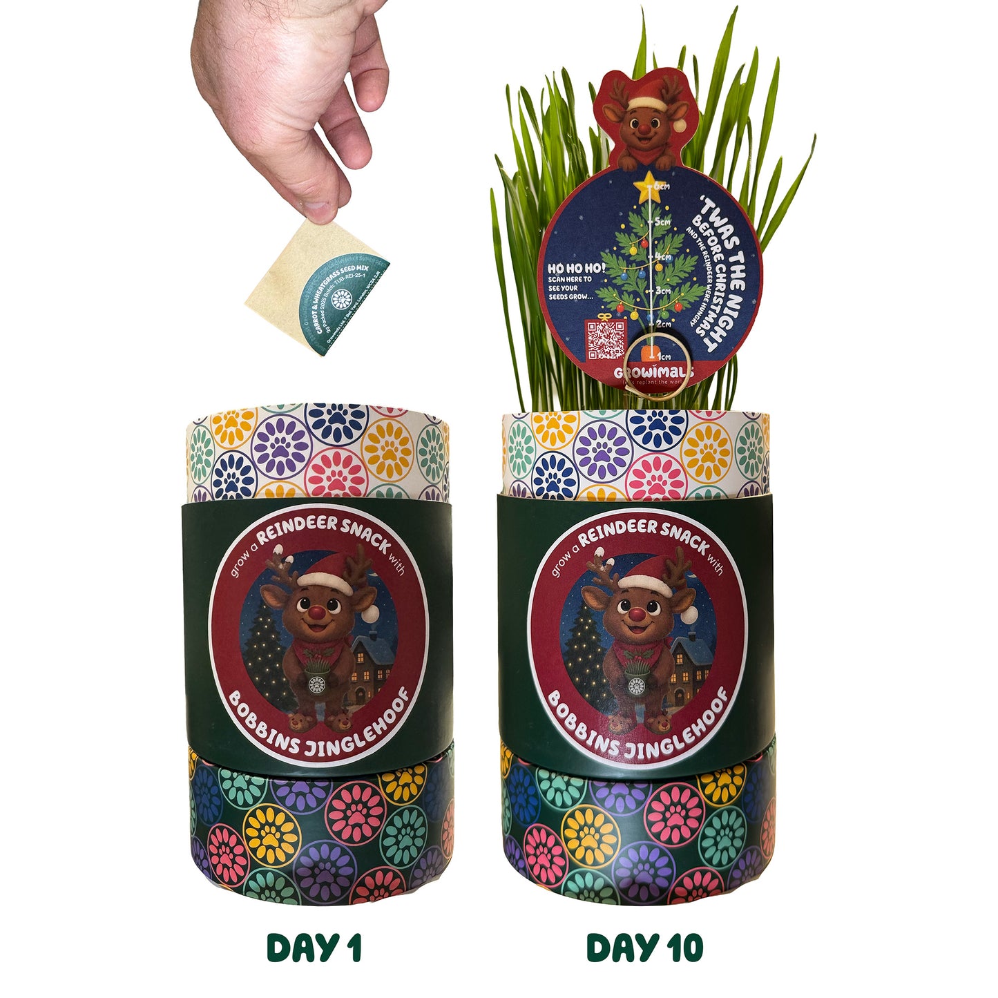 Grow a Reindeer Snack - Christmas GrowTub