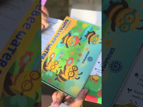 Bee Booster Pack - Wildflower Seed Mix for Kids – Growimals