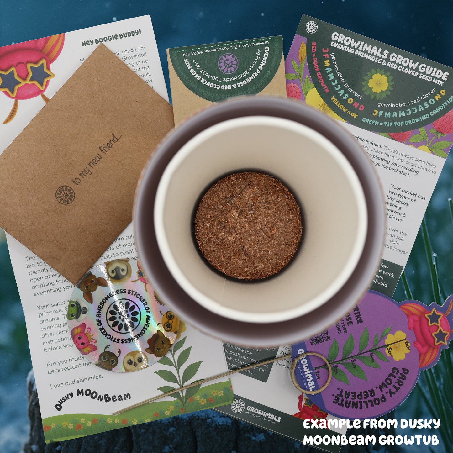 Grow a Reindeer Snack - Christmas GrowTub